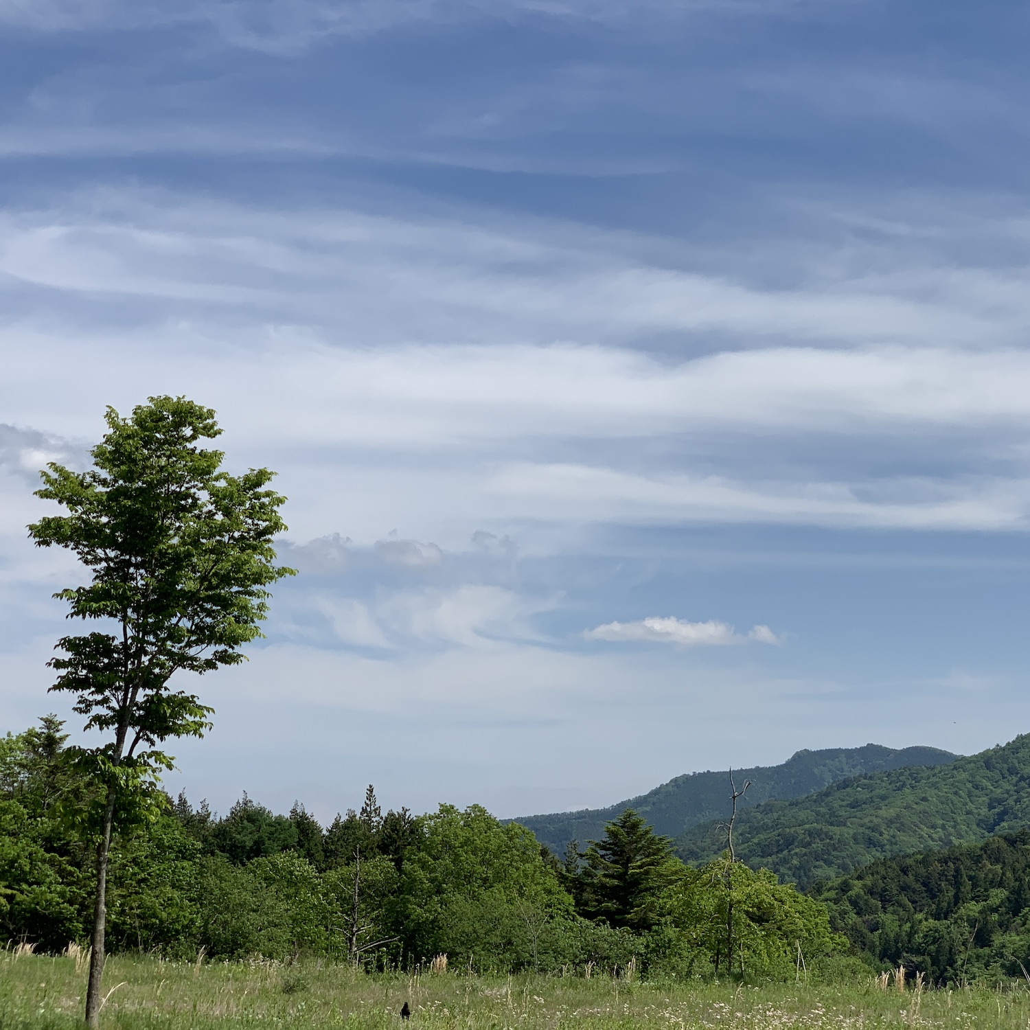 空と山