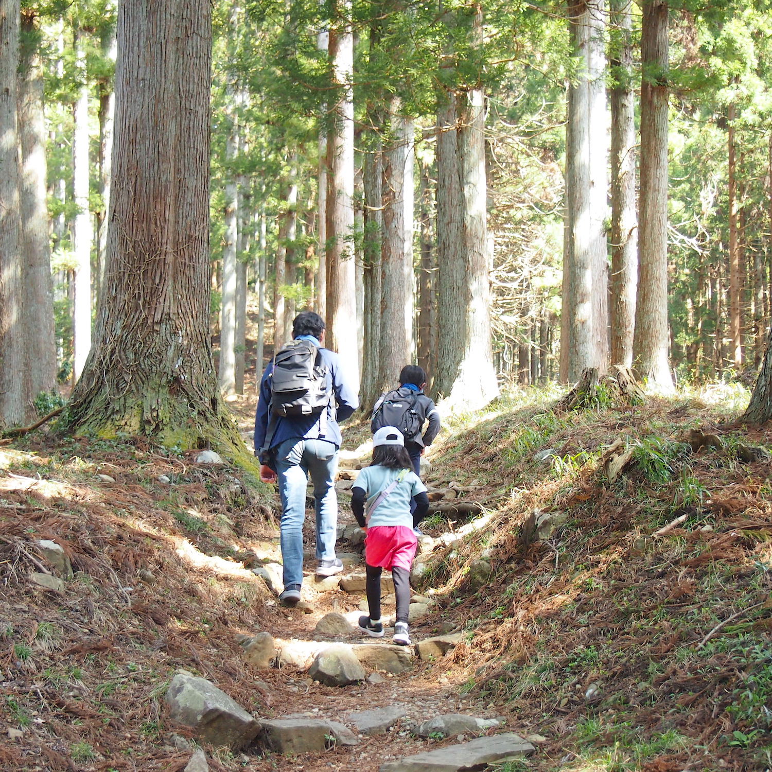 親子ハイキング