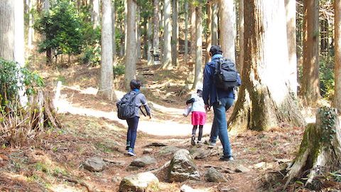 春は親子でハイキング！子どもと山歩きを楽しむための持ち物と注意点