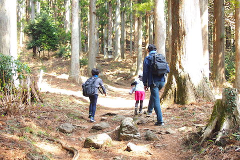 春は親子でハイキング！子どもと山歩きを楽しむための持ち物と注意点