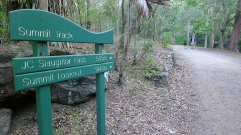 「登山道」を英語で言うと…!?アウトドア用語イングリッシュ＜オーストラリア編＞