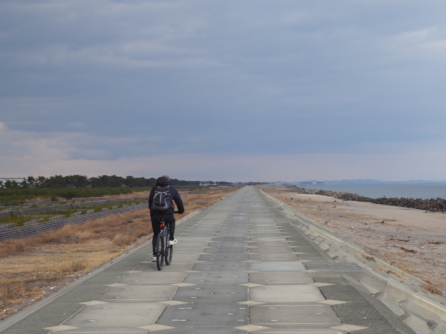 海岸沿いの道を自転車で走る