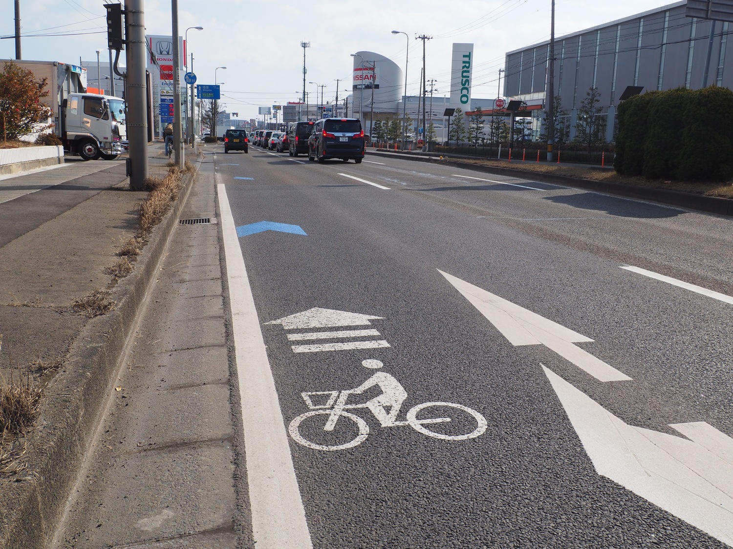 国道45号の路上に描かれた自転車のピクトグラム