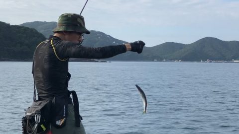 初心者に優しいルアー釣りはどれ？岸からのルアー釣りを難易度別で解説！