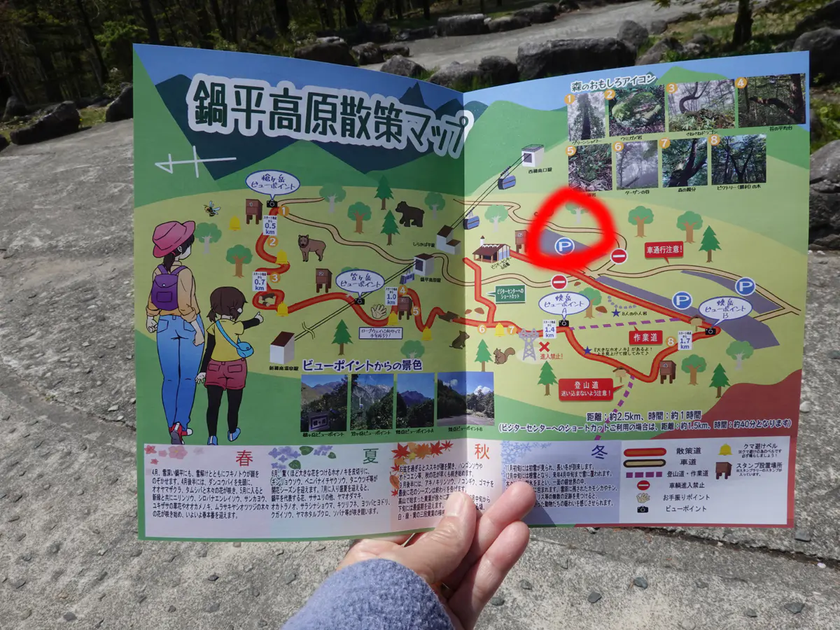 新穂高ロープウェイに乗って ダイナミックな絶景と季節の変化を同時に楽しんだ 山 ハイキング クライミング Be Pal キャンプ アウトドア 自然派生活の情報源ビーパル 新穂高ロープウェイに乗って ダイナミックな絶景と季節の変化を同時に楽しんだ 山 ハイキング クライミング Be Pal キャンプ アウトドア 自然派生活の情報源ビーパル