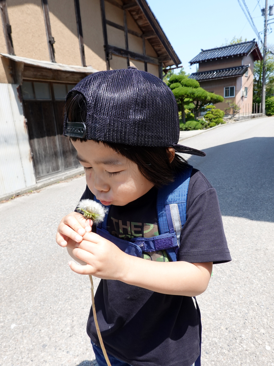 タンポポで遊ぶ子ども