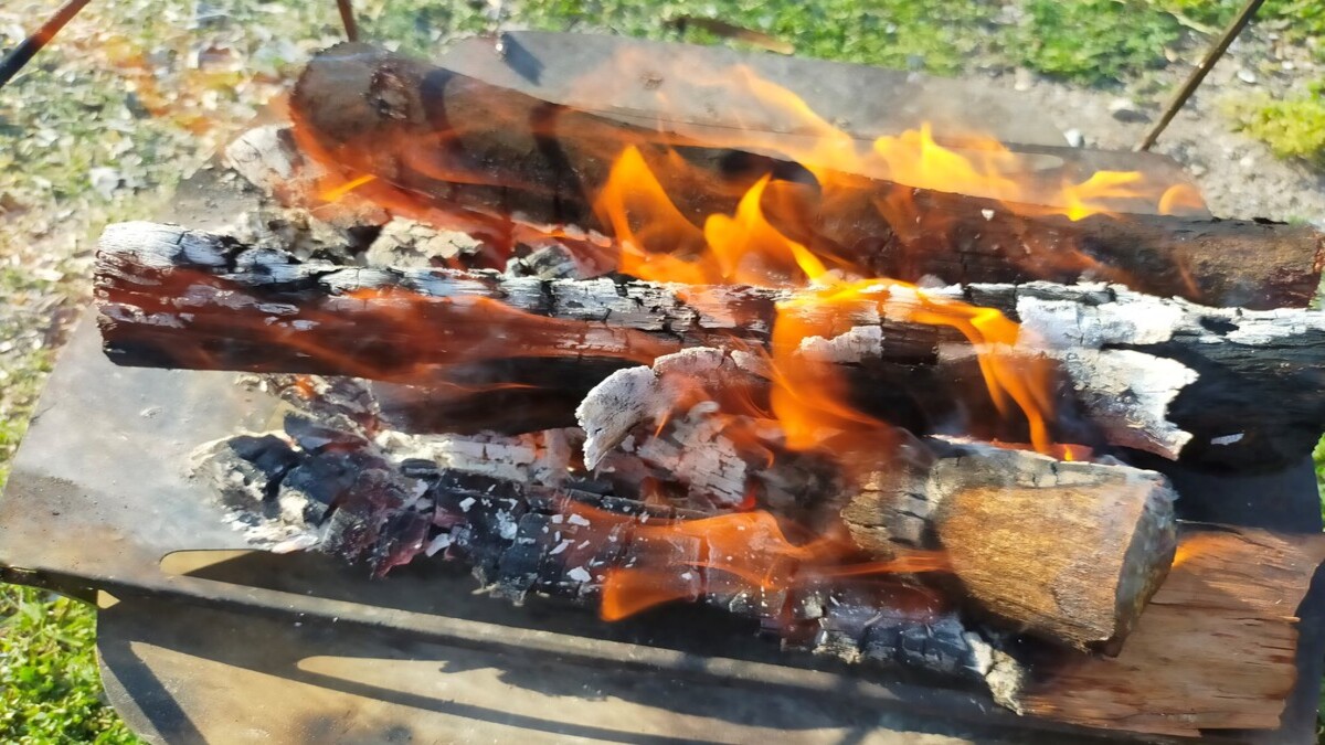 広葉樹の薪から炎が勢いよく上がっている様子。
