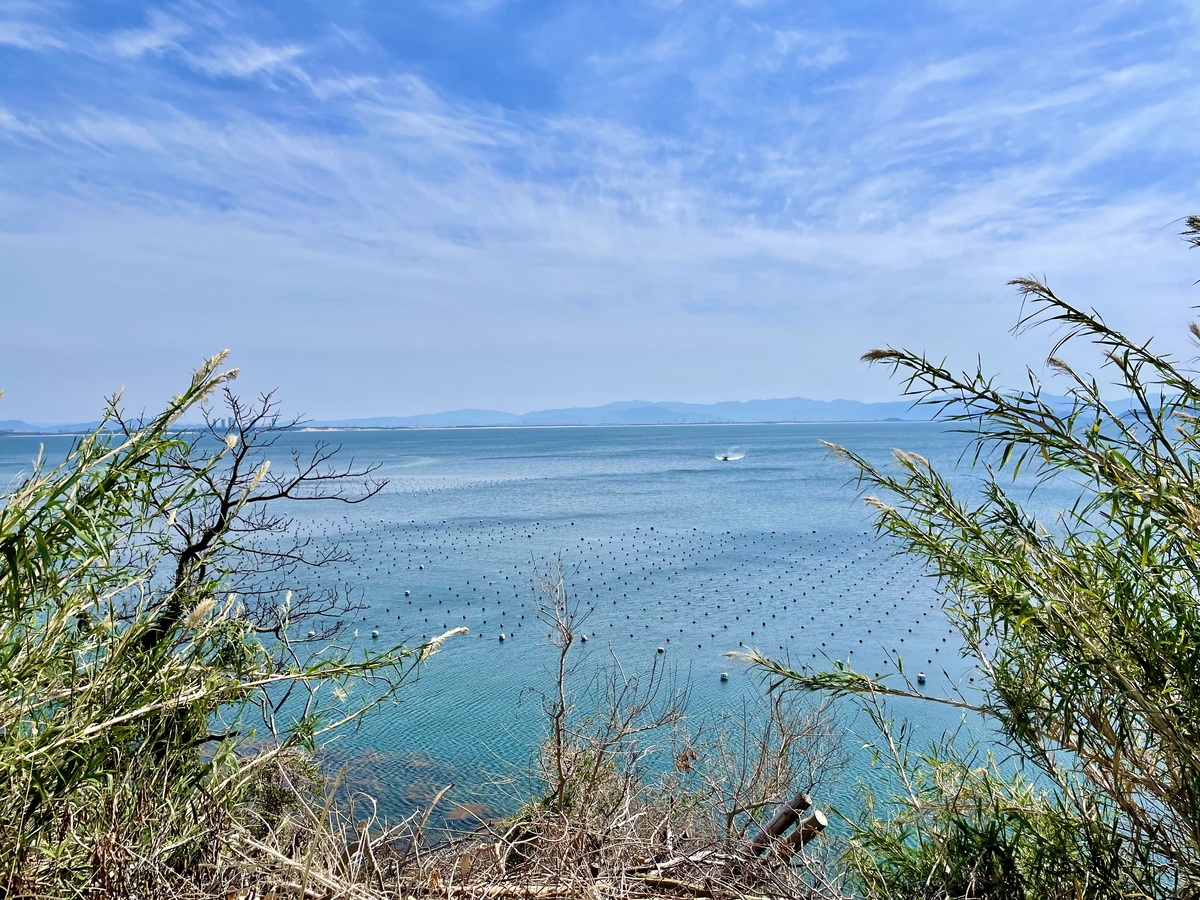 海に見える真珠養殖