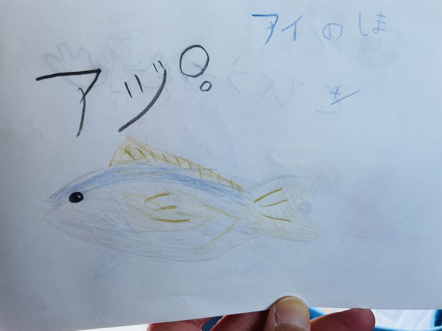 子どもが描いた鯵