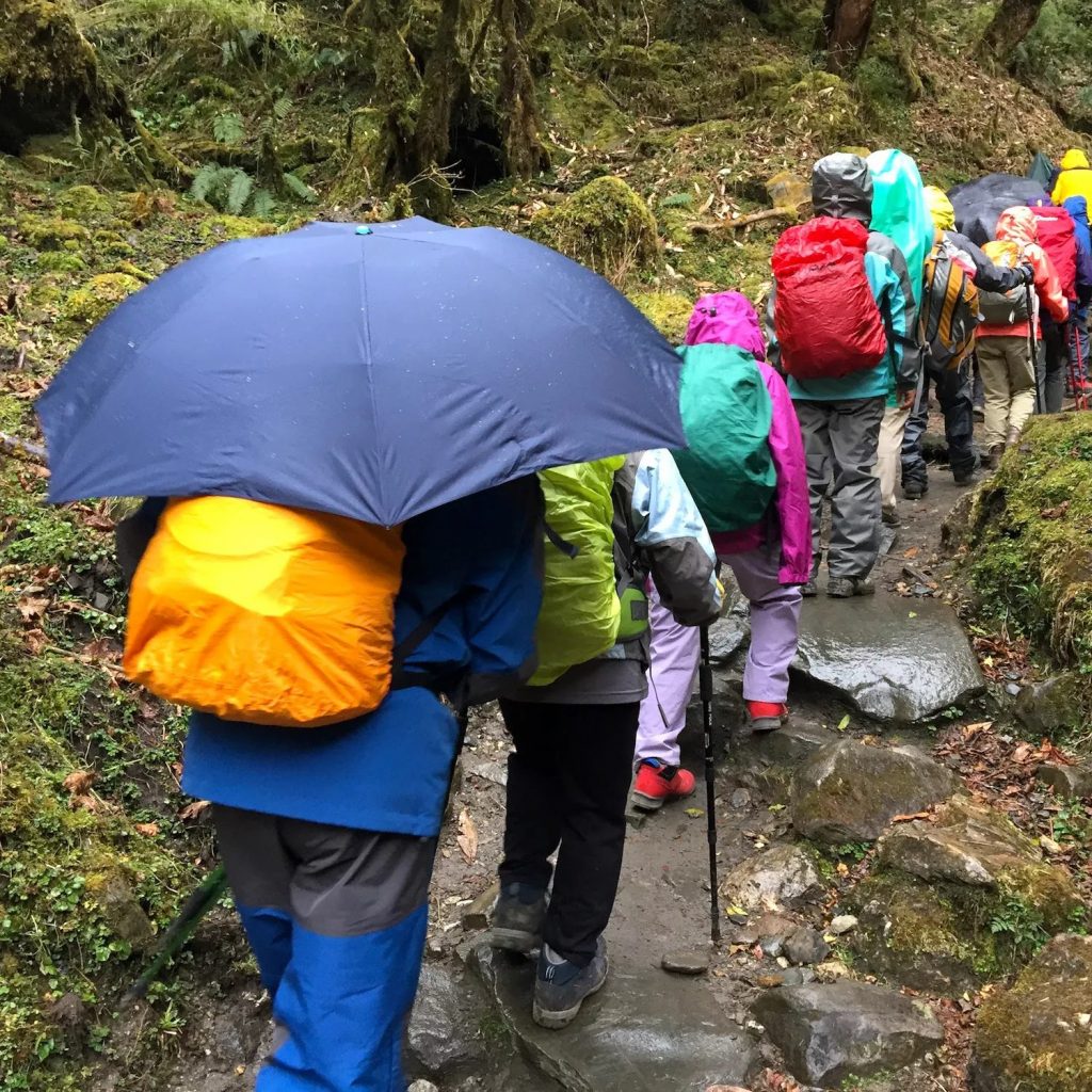 雨の中の登山