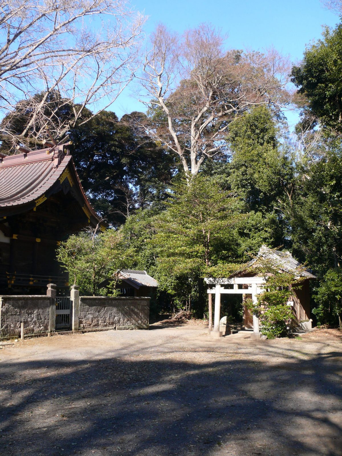 神社の林。