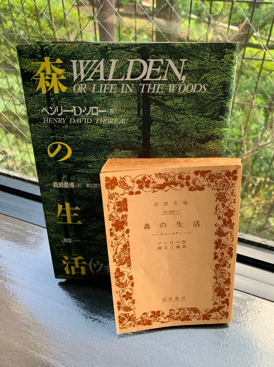 ソロー日記 秋 Wirsindeinteam At