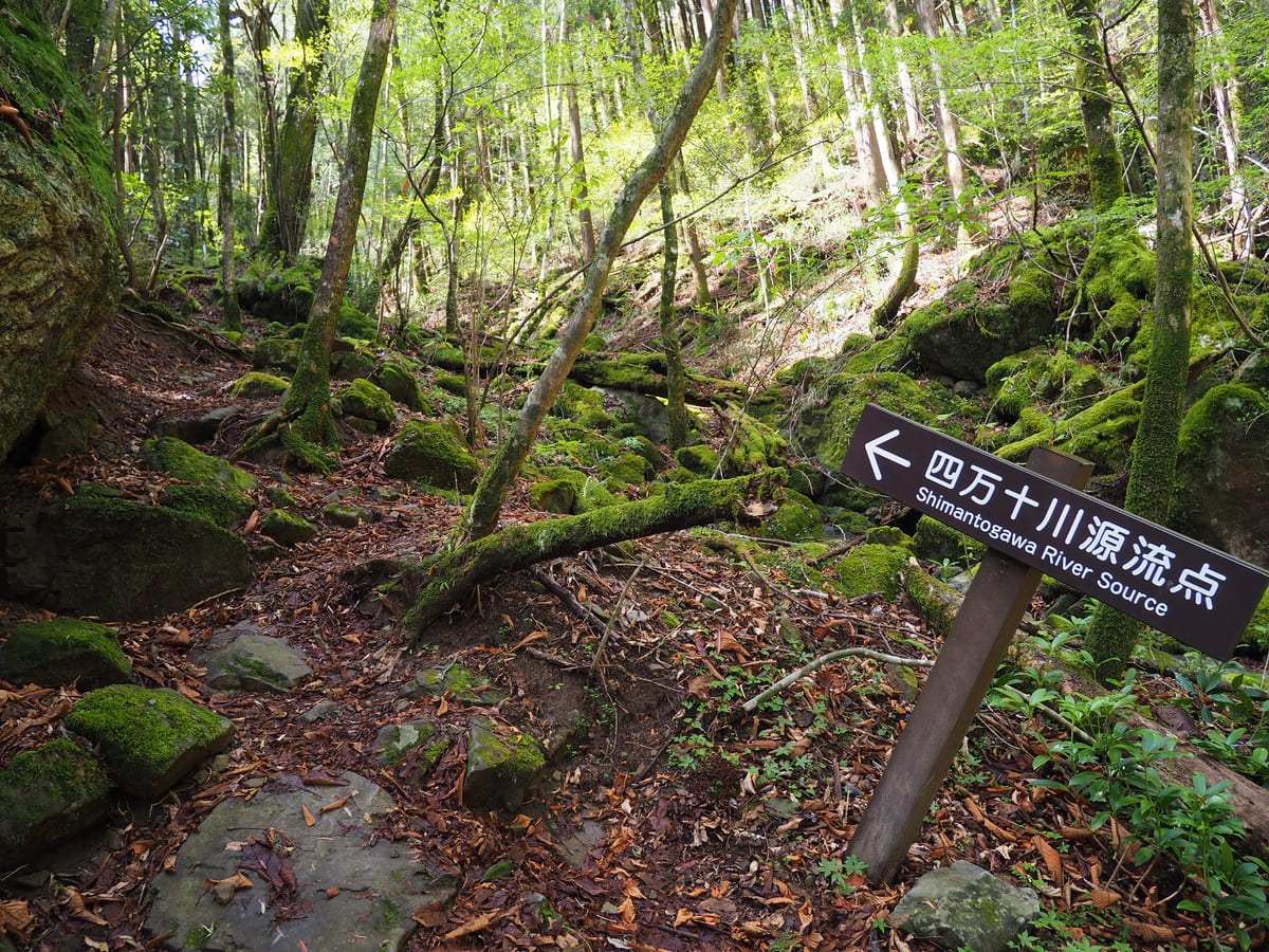 四万十川源流点への山道