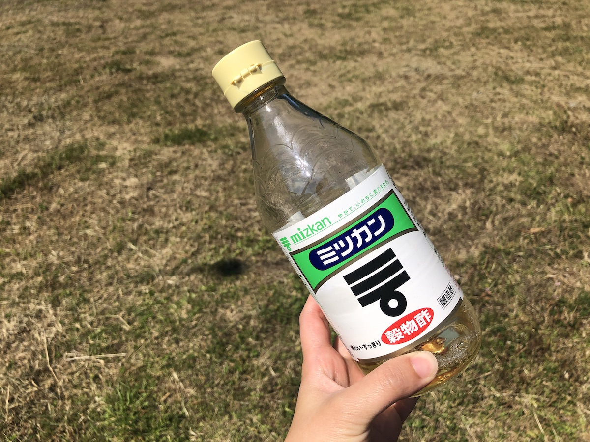 芝生の上でお酢の瓶を持つ。