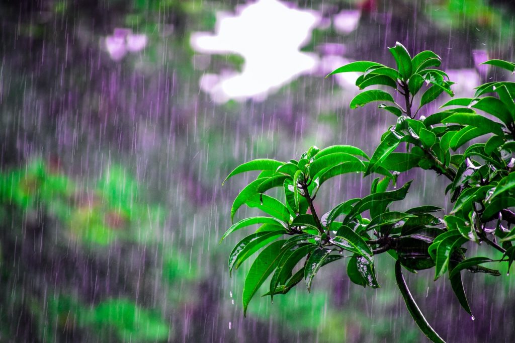 雨が降る風景