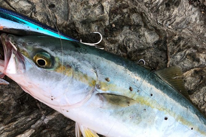 意外なアレで釣れた コンビニで買える食材５つが釣り餌になるか実際に試してみた結果 海 川 カヌー 釣り Be Pal キャンプ アウトドア 自然派生活の情報源ビーパル