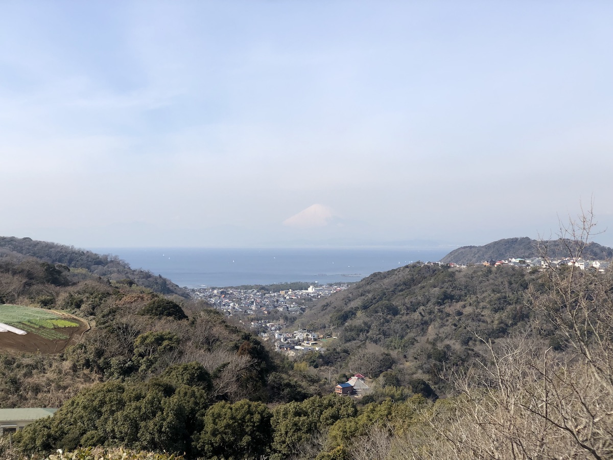 湘南国際村からの眺望。