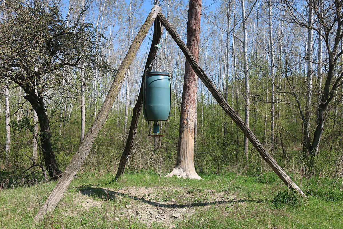 遺跡の代わりに、そこにあった餌やり台