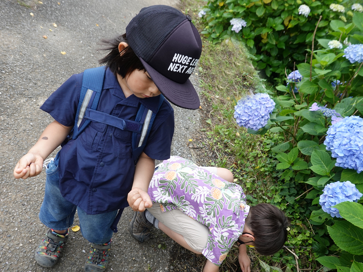 息子たちは一生懸命ダンゴムシを探していた