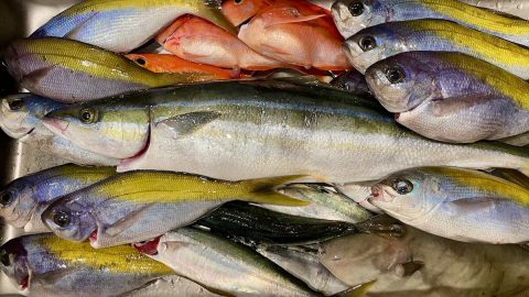 初心者こそ船釣りデビューしてみよう！船釣りの基本と釣るためのコツを紹介