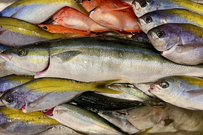 初心者こそ船釣りデビューしてみよう！船釣りの基本と釣るためのコツを紹介