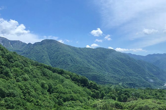 夏のファミリーキャンプを楽しもう！あってよかったアイテムを4つ紹介