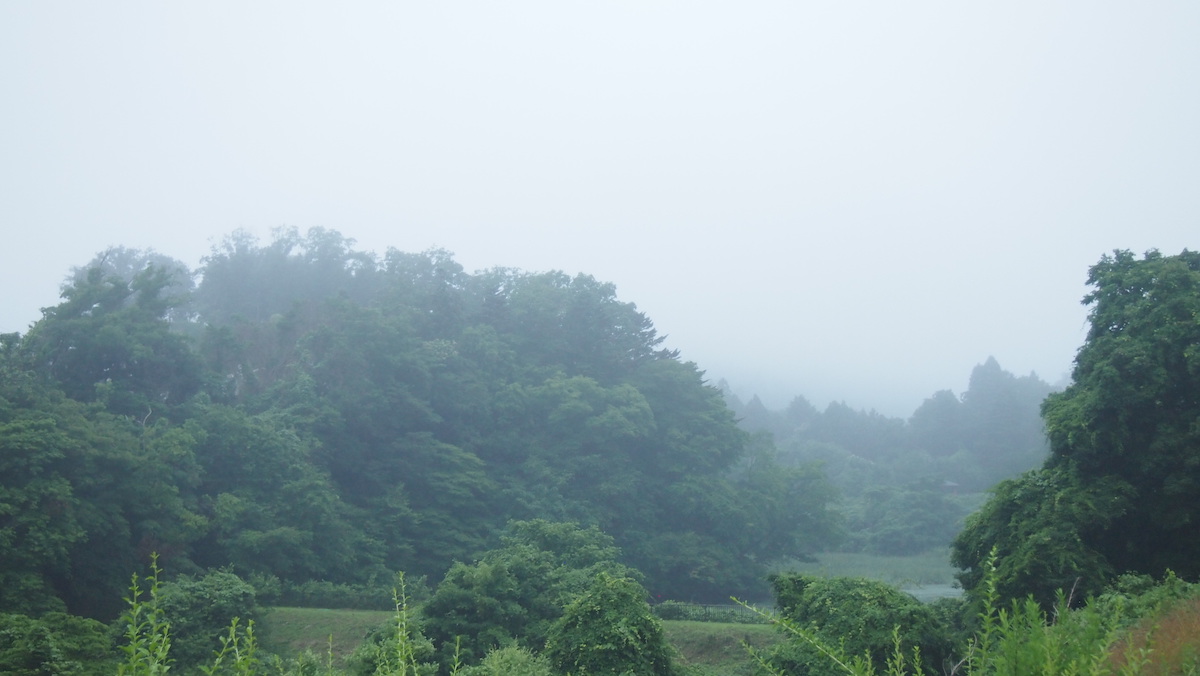 雨の山風景