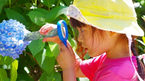 子どものやる気を引き出す！森のようちえんの遊びのアイデア５つ