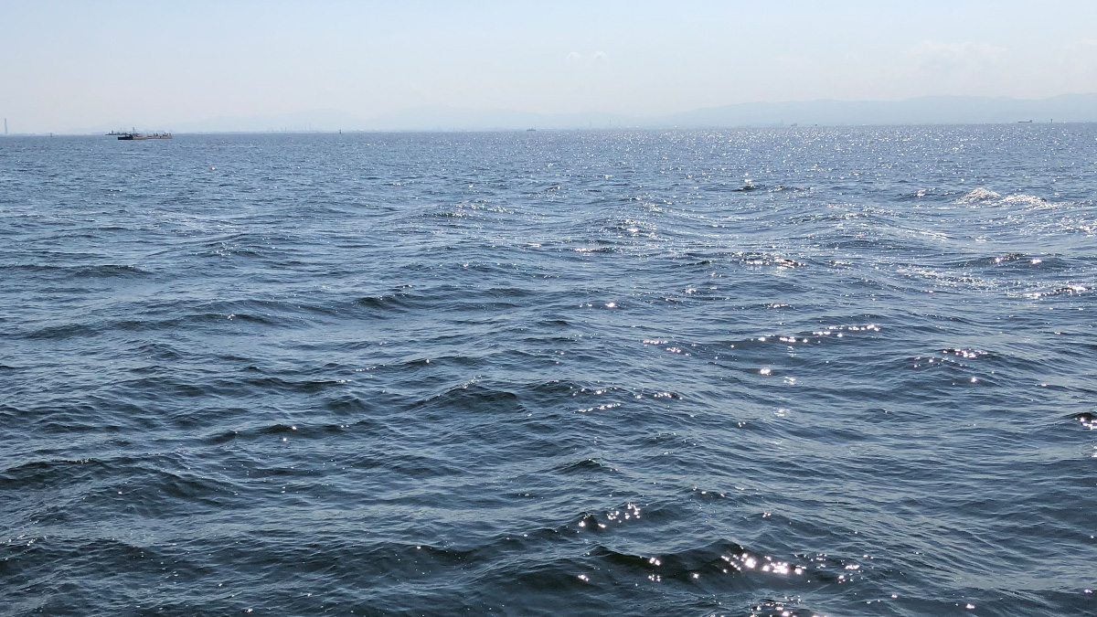 釣り場の海。