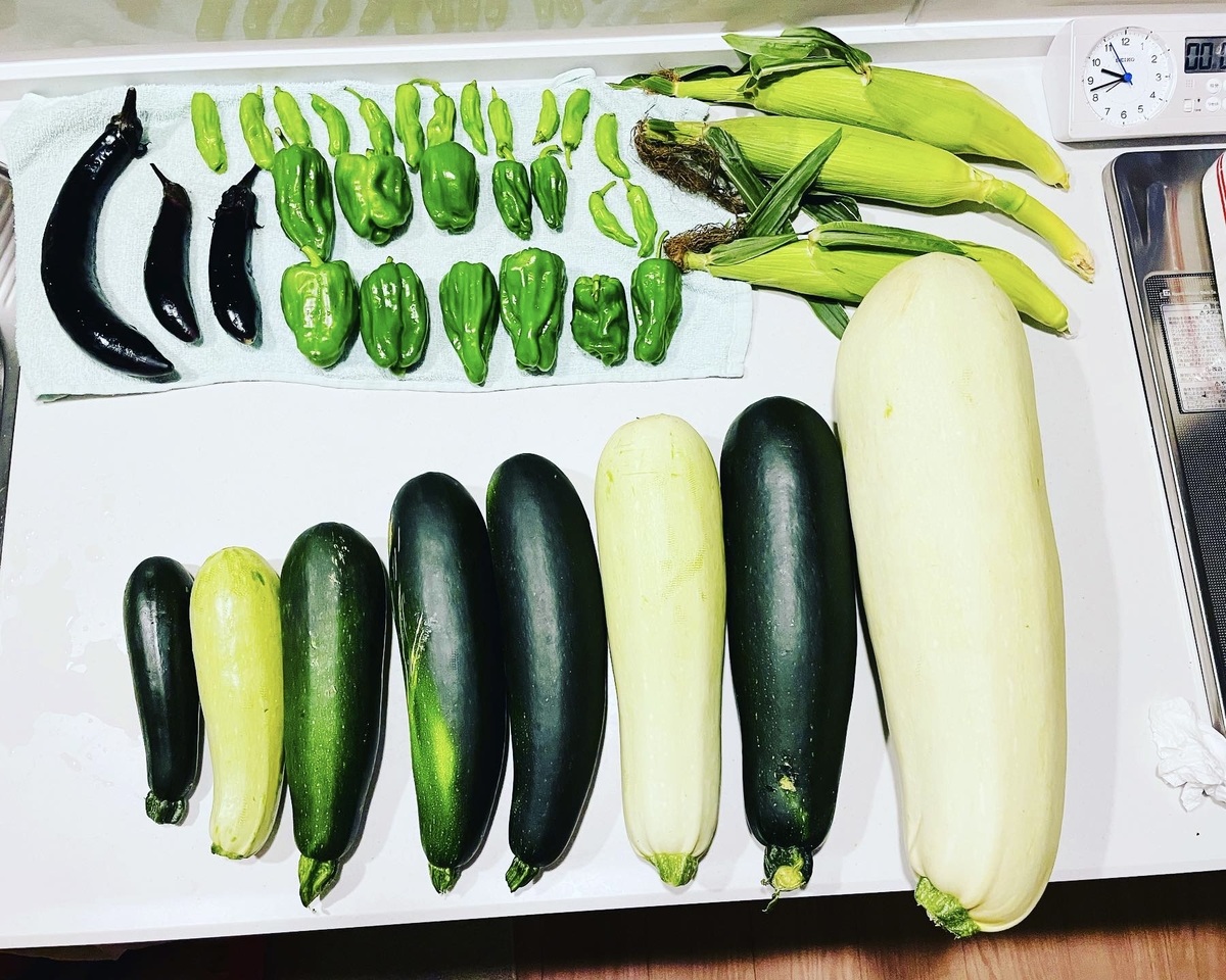 キッチンに並ぶ夏野菜