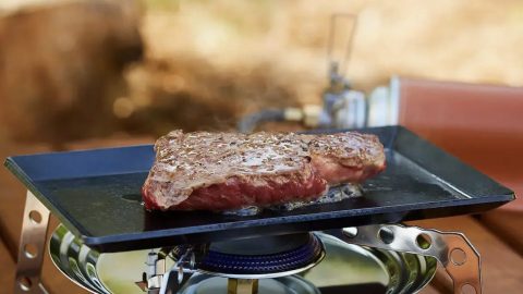 BBQにおすすめの肉の部位を牛・豚ごとに解説。仕込みのコツも紹介