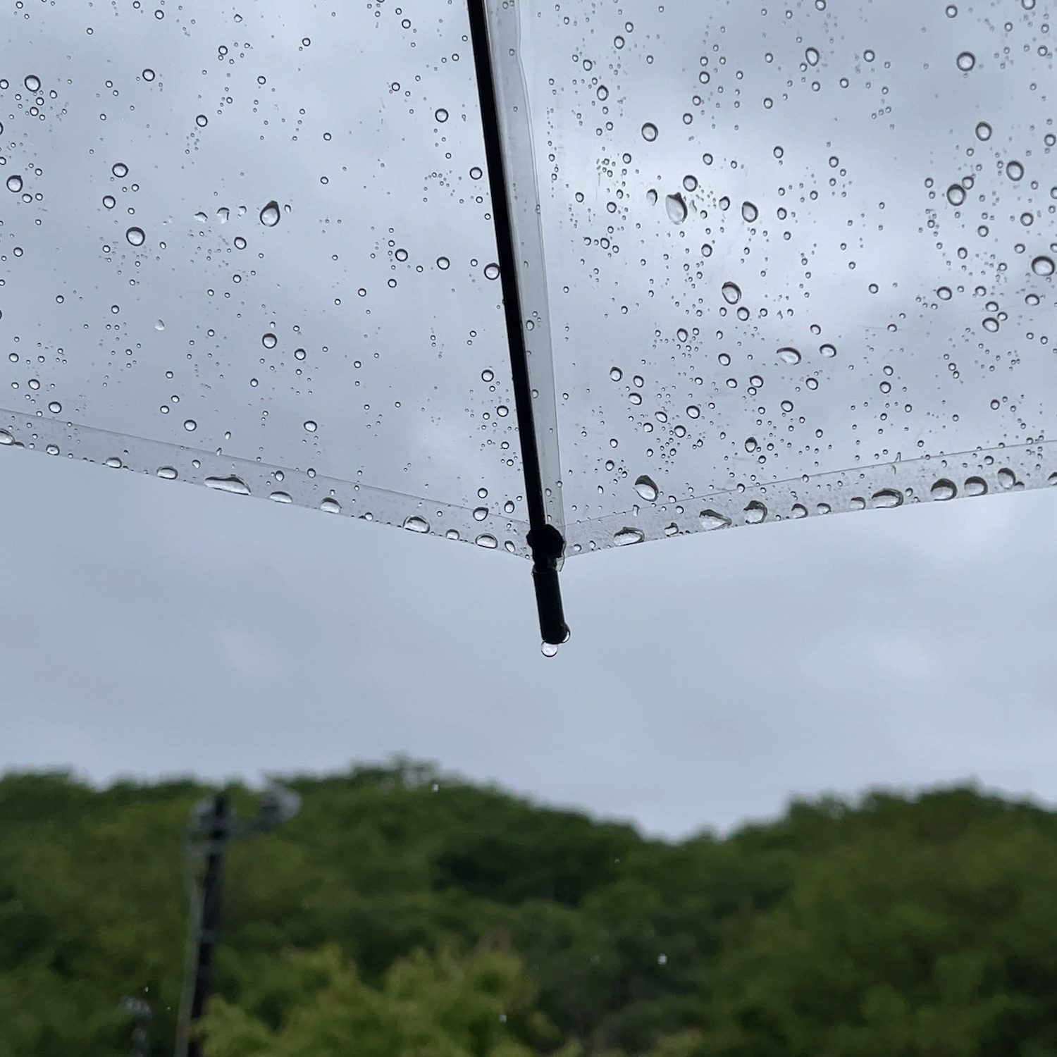 雨のイメージ