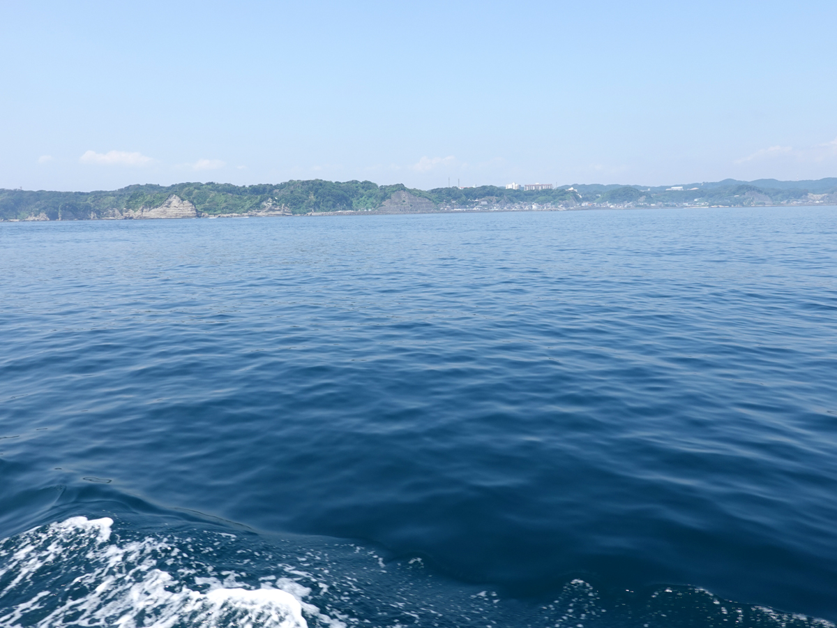 沖から見る勝浦の海
