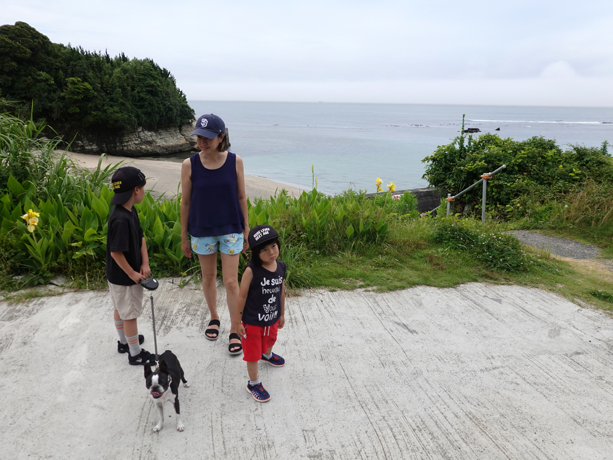 勝浦の海辺を散歩する
