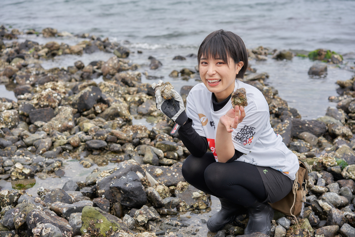 なんと、海辺にはカキがゴロゴロ