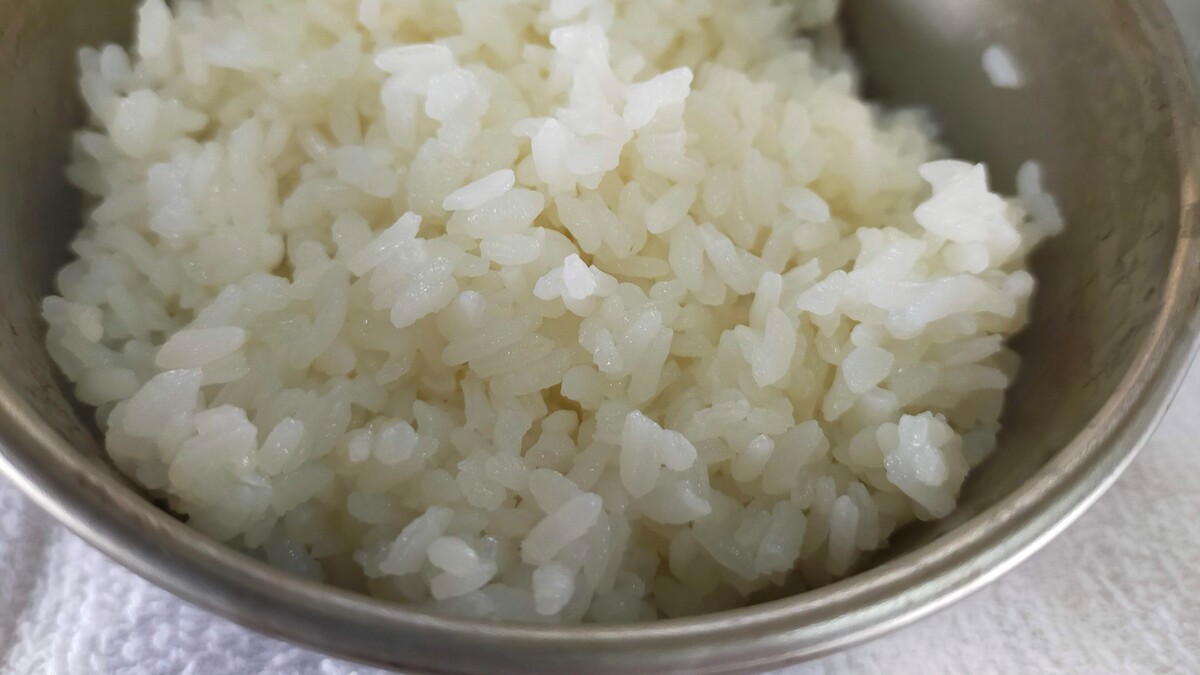 シェラカップの中に炊飯されたお米が入っている様子。