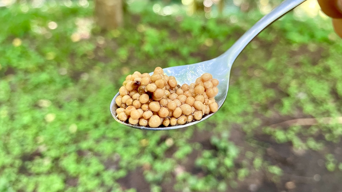 「TUBU Mustard」をスプーンですくい取っている