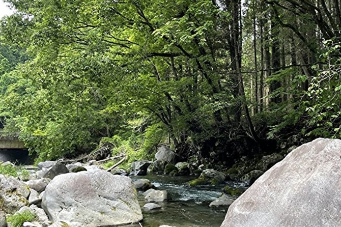 初心者キャンプ記事。