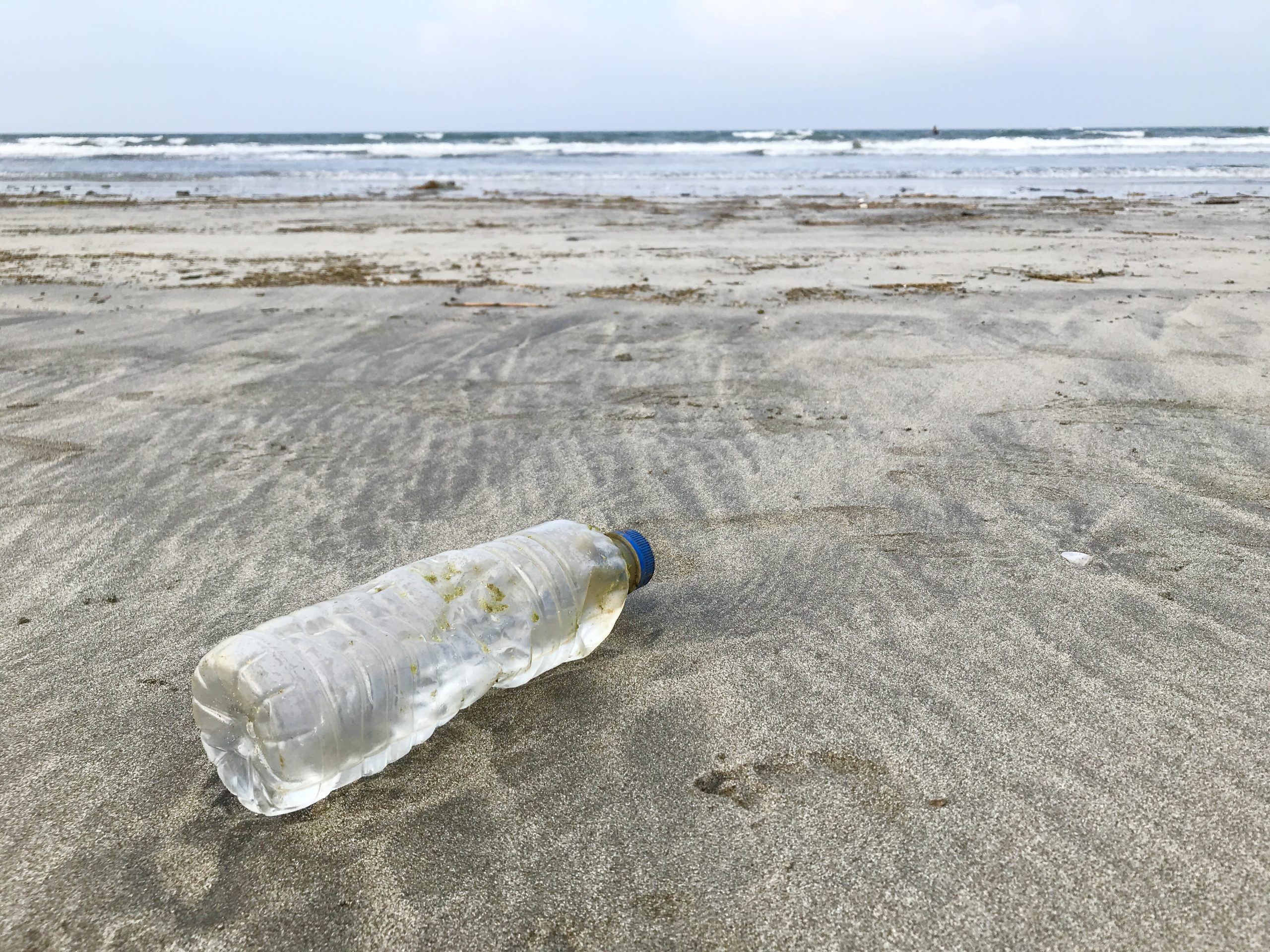 海岸のペットボトル