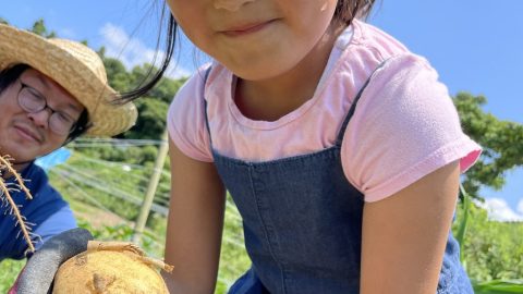 “畑活”は絶好調・みずみずしい「夏野菜作り」が、収穫祭りを迎えました！