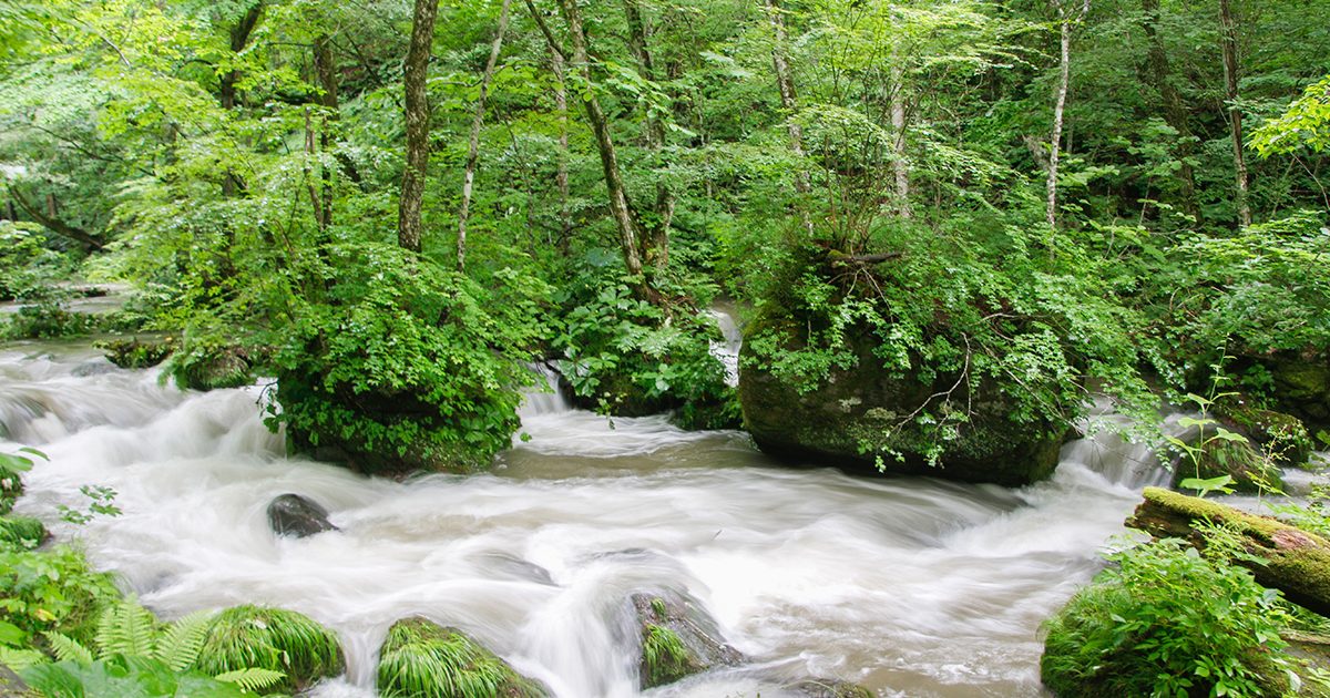 夏はサイクリングが気持ち良い！苔むす森に癒される奥入瀬渓流の