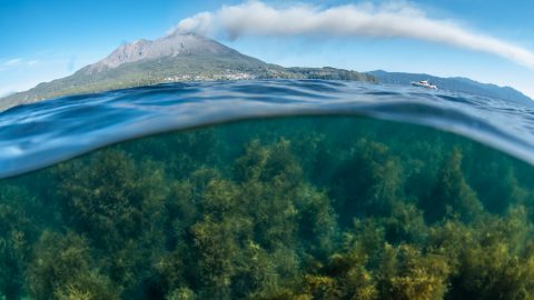 火山の影響を受ける豊かな海で〜桜島の麓で生きるということ