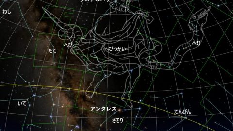 ペルセウス座流星群到来。８月の夜に「ラスアルハゲ」を探そう