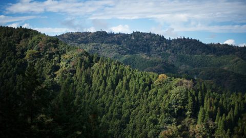 高尾山の登山時間は？服装やおすすめスポット・アクセス情報も解説