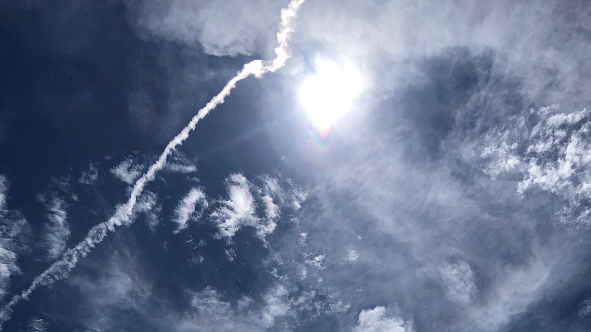 ギラギラした夏の太陽。