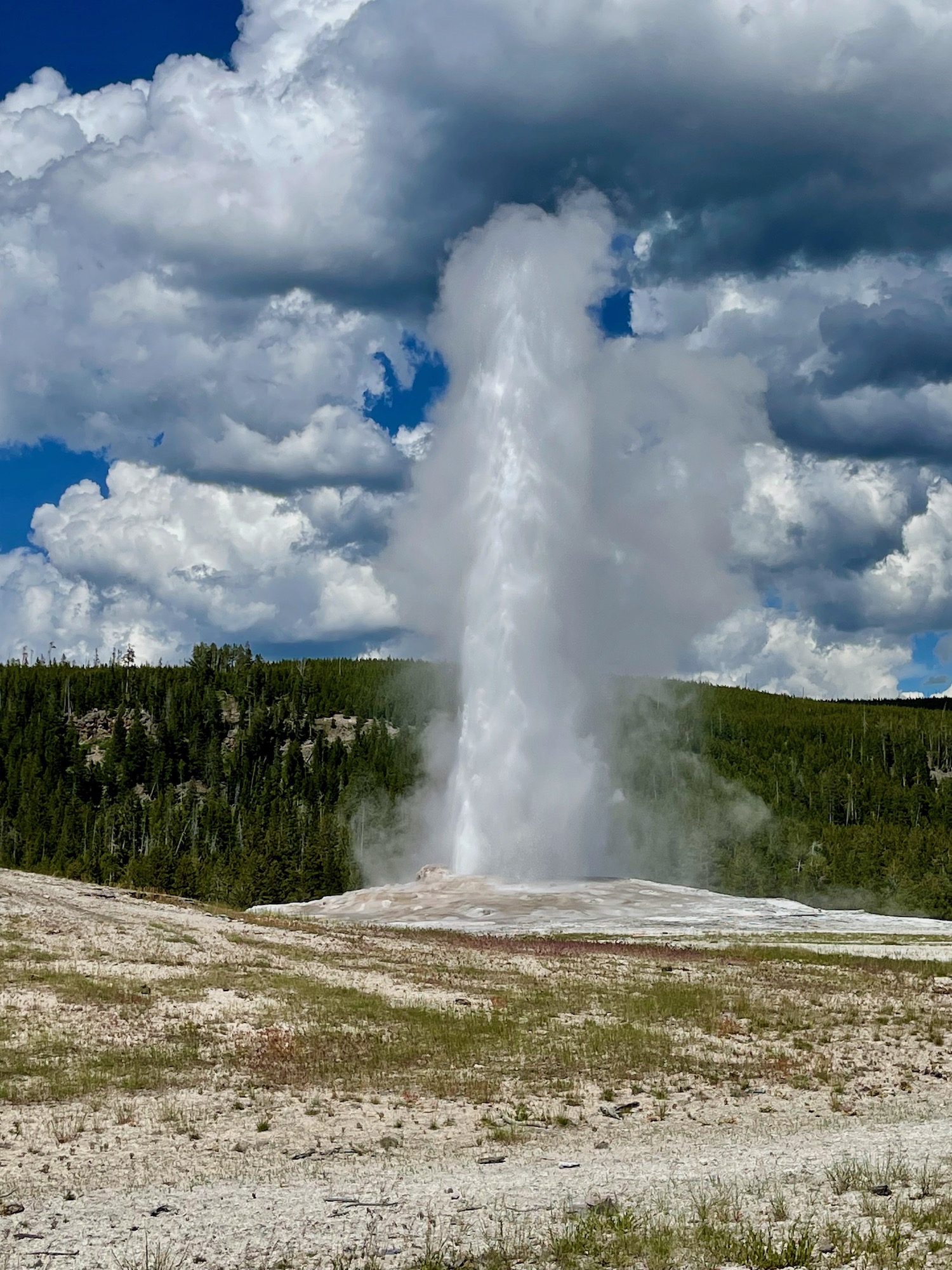 Old Faithful Geyser