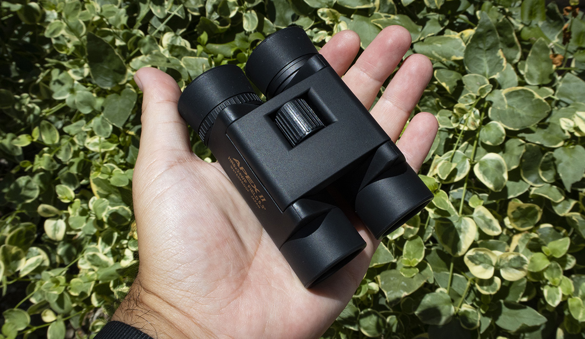 初めて買う人にぴったり！ビクセンの新作小型双眼鏡「APEX Ⅱ HR8×24WP」を使ってみた | アウトドア雑貨・小物  【BE-PAL】キャンプ、アウトドア、自然派生活の情報源ビーパル