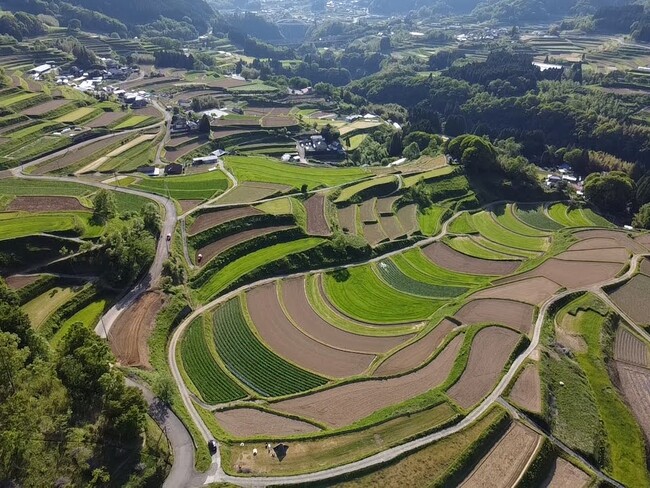 高千穂町の棚田の風景