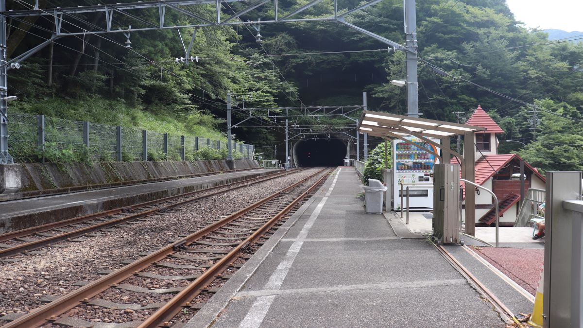長島ダム駅の写真です。