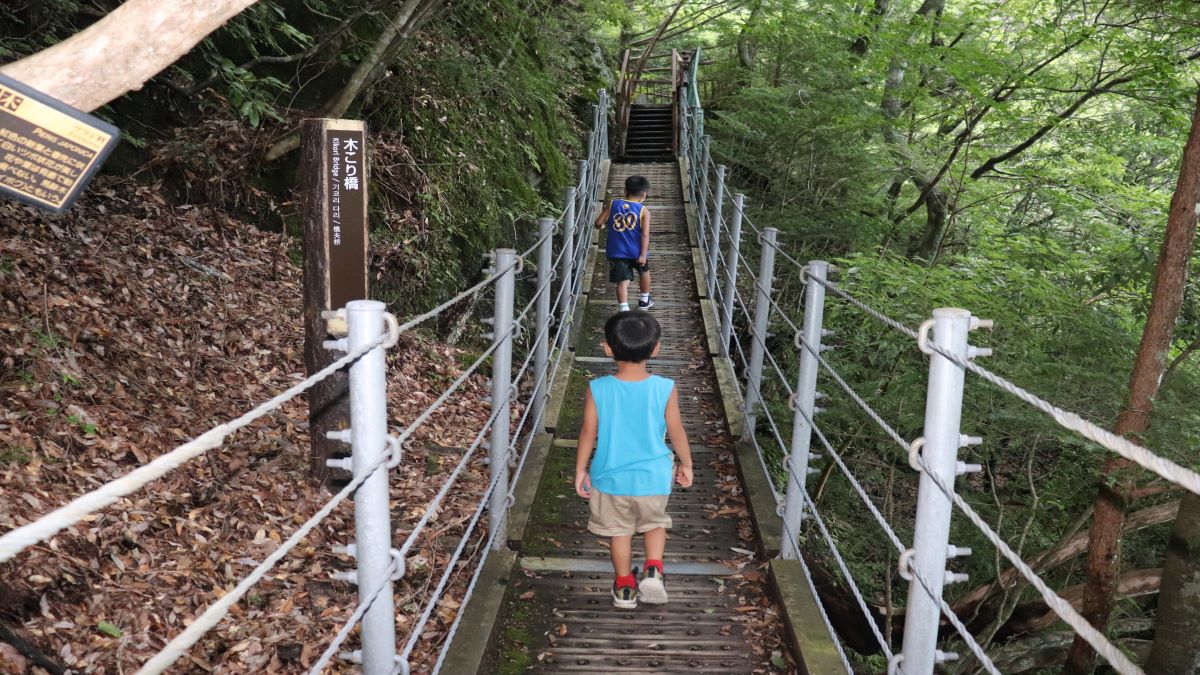 木こり橋